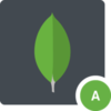 MongoDB Atlas